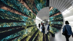 Building a Healthy Planet through Decarbonization